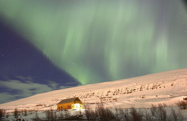 Northern Lights Hunting (Private)