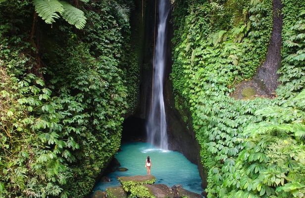 Bali Secret Waterfall Tour - Private and All-Inclusive