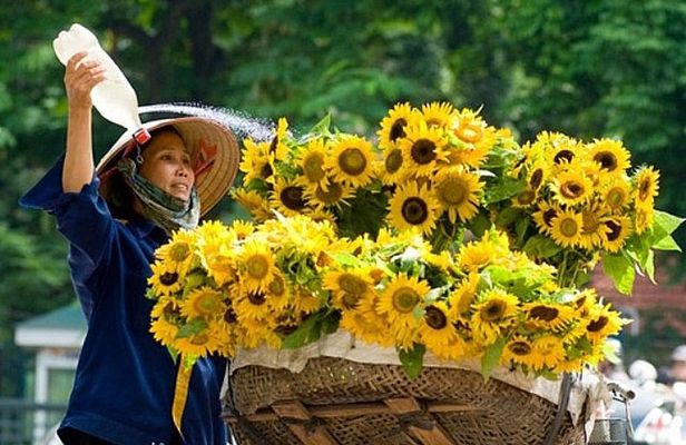  Ha Noi private city tour full day and cyclo