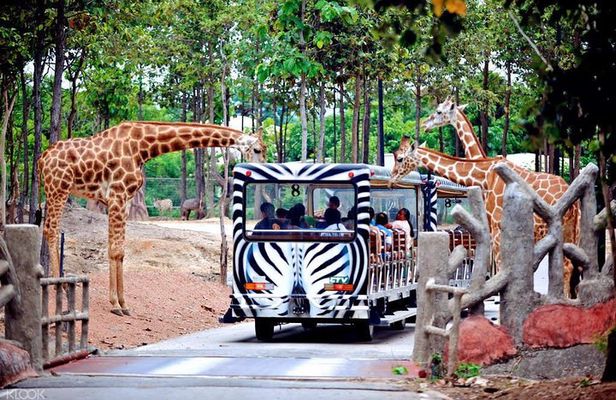 Chiang Mai Night Safari Tour including Transfer (Minimum 2 pax)