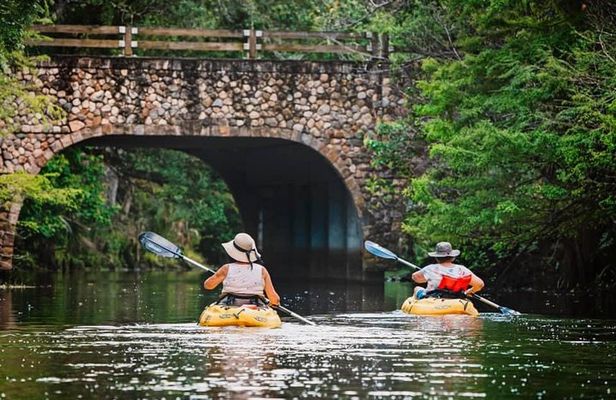 Loxahatchee River Tour