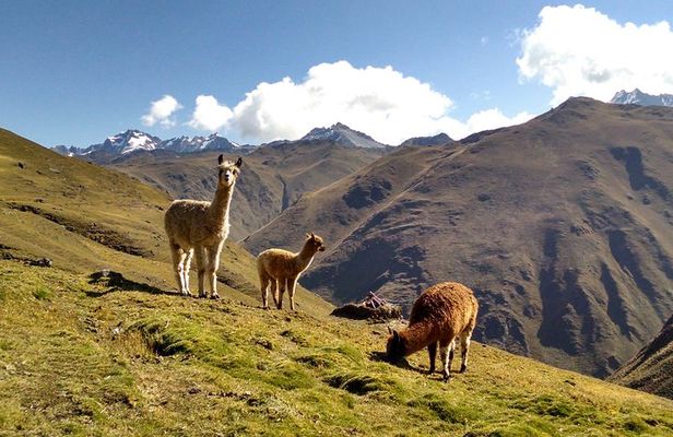 Salkantay Trek to Machu Picchu in 4 Days