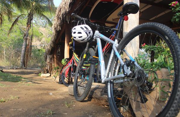 Mountain Bike Tours