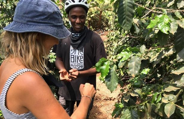 3 days on Chagga Villages by Bike