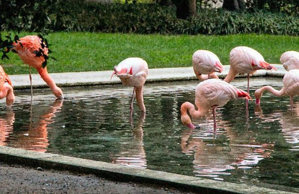 The Secret Milan – An Exclusive Stroll Beyond the Beaten Path