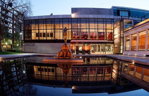 Bilbao: Museum of Fine Arts Private Guided Tour