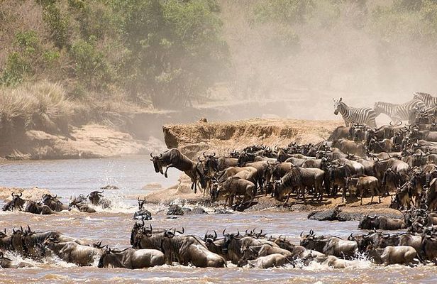 4 Days Luxury Lodge Safari Tour Tanzania
