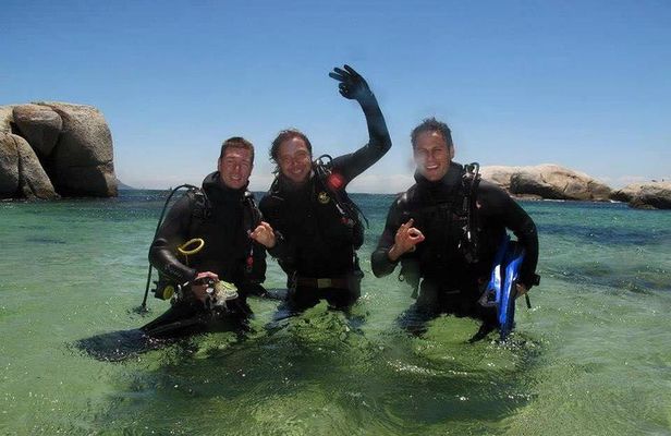 Beginner Scuba Diving Experience in Simonstown.