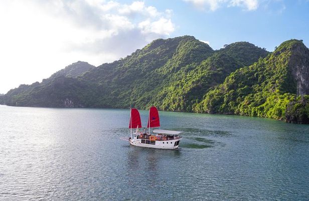 Private tour Halong Bay 1 Day Cruise with Cave, Kayaking