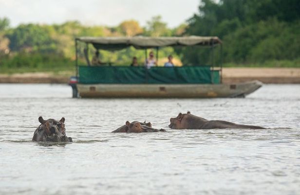 3 Days Selous Game Reserve Driver from Dar es salaam