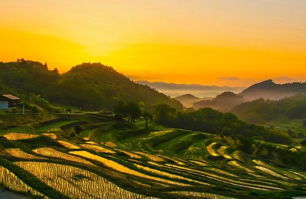 Noto Full Day Driving Tour (Private Car)