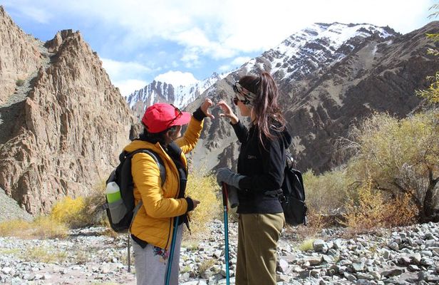 Ladakh One Day Trek- Gyamtsa to Phyang Village