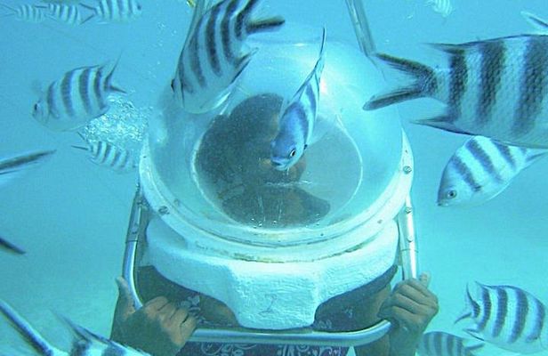 Underwater Sea Walk & Beaches In The North With Transportation