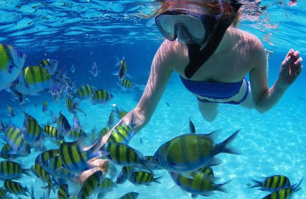 Full-Day SAN BLAS ISLAND Tour + Transport from Panama City