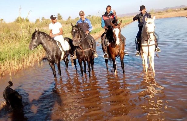 Ride the cast of famous Hollywood movies on set in their natural environment!