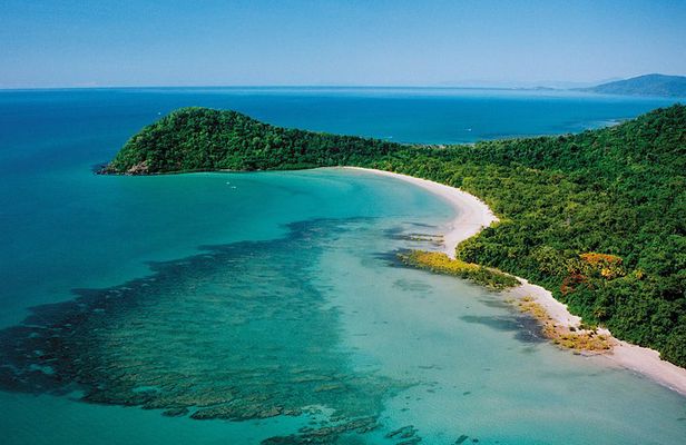 Daintree Rainforest, Mossman Gorge Small-Group from Port Douglas