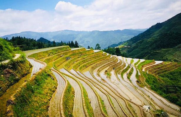 Private Day Tour to Longji Rice Terraces from Yangshuo