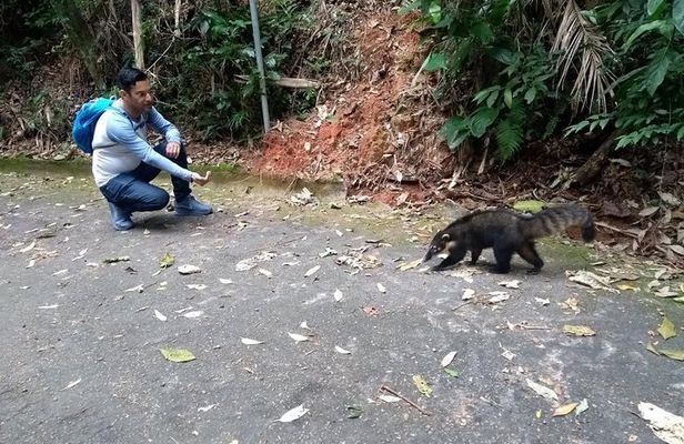 Tijuca Forest National Park