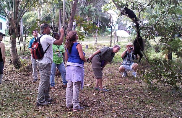 Howler Monkey Sanctuary and Belize City Tour