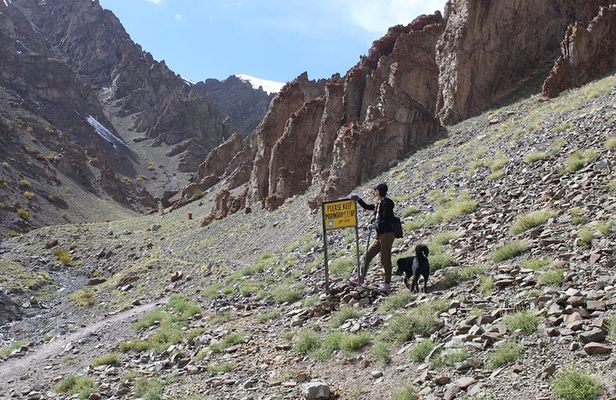 Ladakh Sham Valley Trek