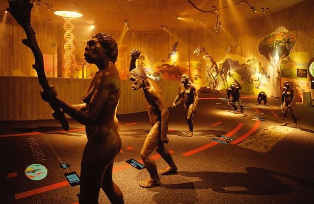Time Capsule Tour: Neanderthal Museum, Medieval Castle and Tito's birthplace