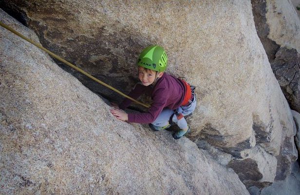 Family Rock Climbing Trips in Joshua Tree National Park (4 Hours)