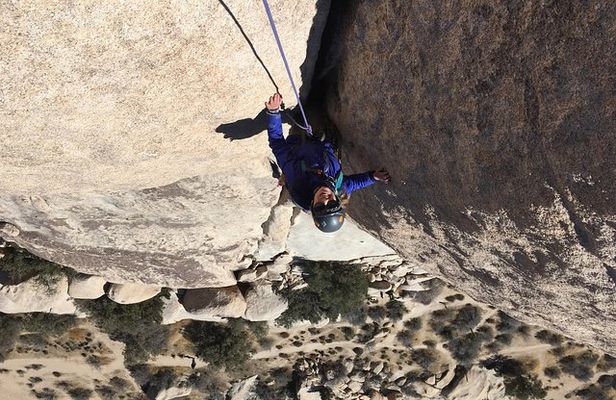 Family Rock Climbing Trips in Joshua Tree National Park (8 Hours)
