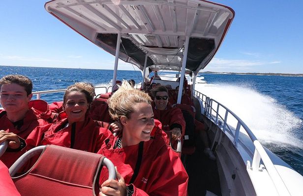 Adventure Rottnest Tour with Ferry & Adventure Cruise