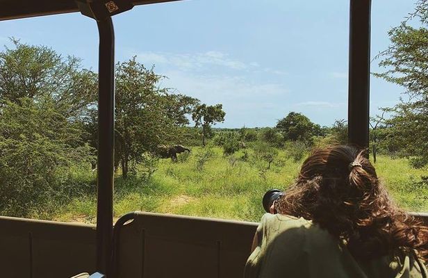 Kruger Park 1-day Safari from Maputo (Open-backed Safari Vehicle)