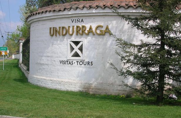 Santiago: Half day Visit to Undurraga vineyard, entrance and transport included