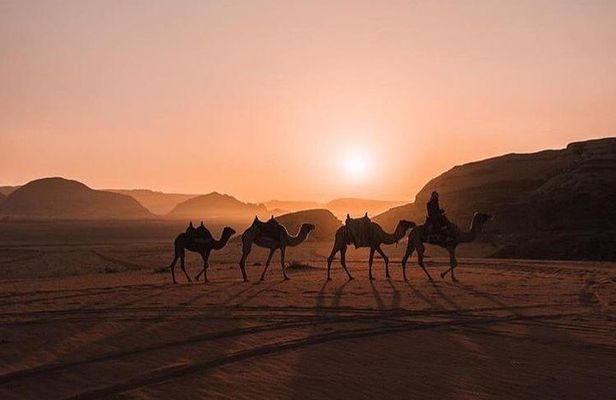 Full Day Jeep Tour with Overnight in beduin Camp Stay! (All Meals Included)