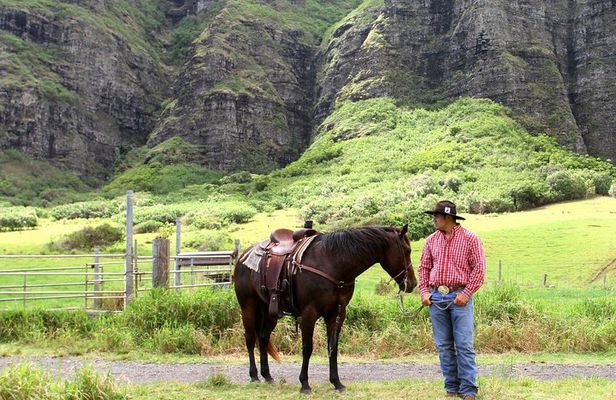 Kualoa Ranch - Horseback Walking Tour