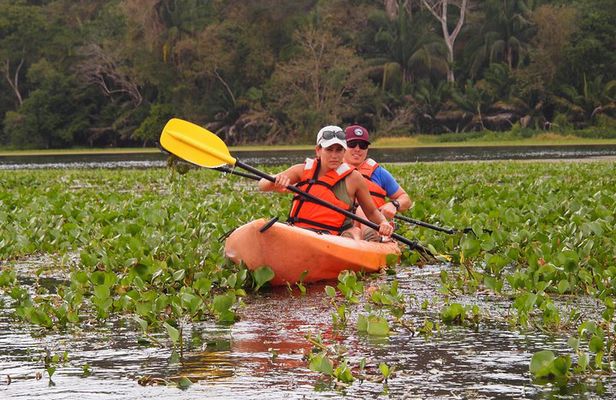Kayaking tour in the Chagres River