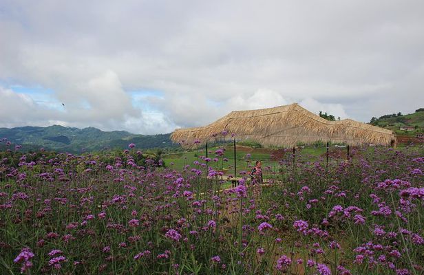 Fruiful Oneday! Trip outskirt of a City from end to end