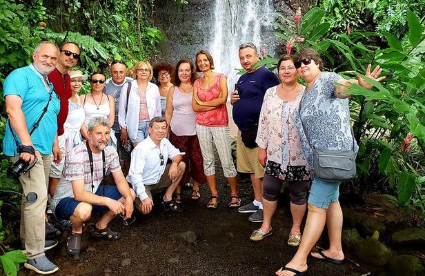 Private Full-Day Tahiti — Grotto, Gardens & Panoramas