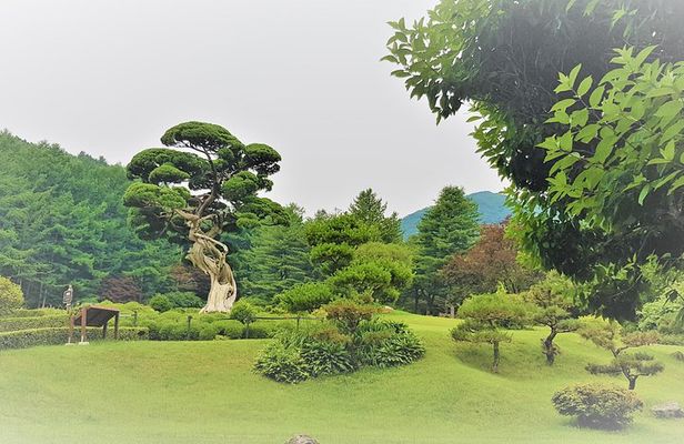 Easy private tour to Nami Island, Garden of Morning Calm