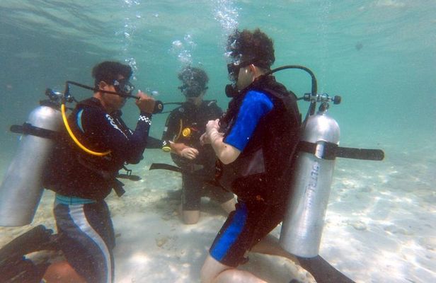 Pattaya PADI Scuba Diving Two Exciting Try Dives with PADI Instructor in Pattaya