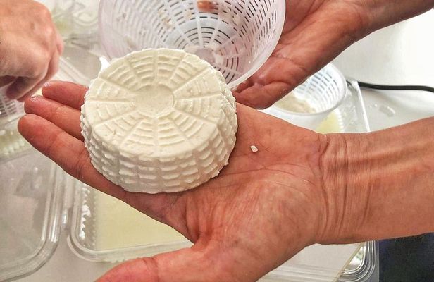 Cheesemaker for a day & visit to the dairy