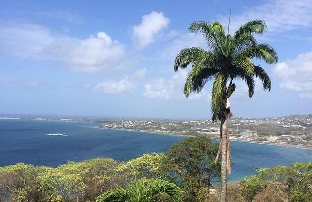 VIP Inclusive Private Tour of Island (Lunch, Drinks + Snorkeling)