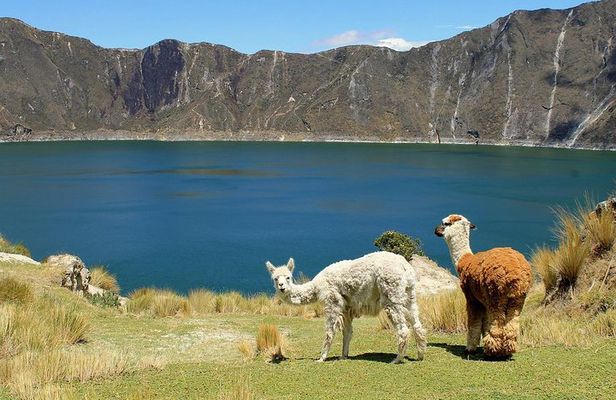 Cultural Tour Laguna Quilotoa: Hiking and Descent to the Lagoon all included