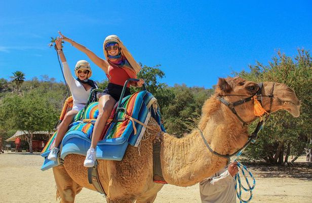 Camel Ride in the Canyon + Thrilling Water-Slides & Snacks