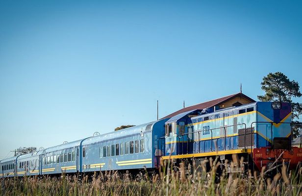 The Q Train - Q Class Social Dining