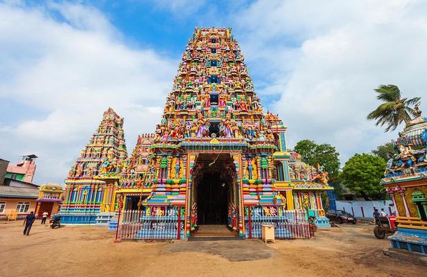 Sigiriya Day Tour & Trincomalee Drop With Holiday Walkers Sri Lanka