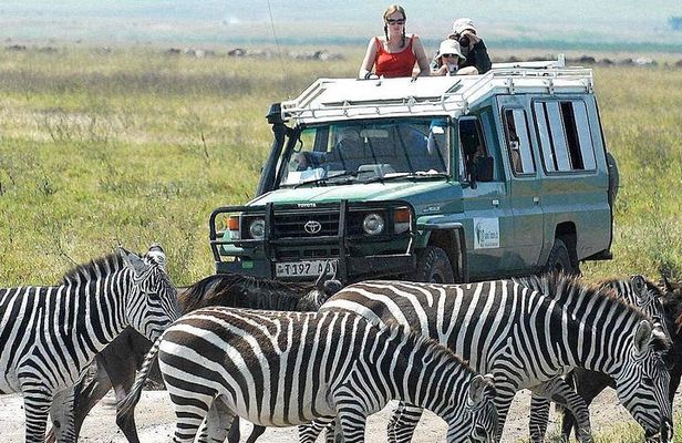 2 Days Joined Group Tarangire and Ngorongoro Crater National Park