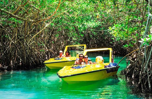 Jungle Tour with Snorkel in Cancun