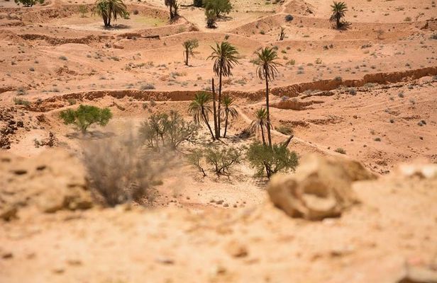 The three desert and mountain oases