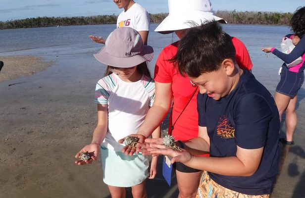 2-hour Shelling Boat Tour in the 10,000 Islands