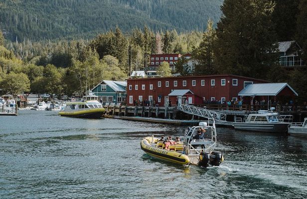 Vancouver Island Zodiac Whale Watching Adventure - Telegraph Cove