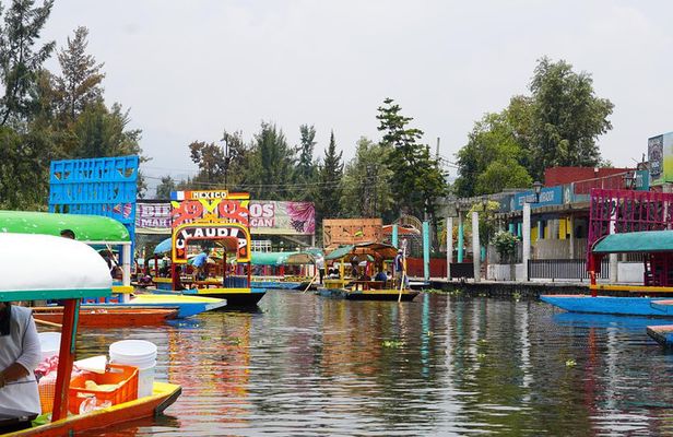 Xochimilco & Coyoacan with Frida Kahlo Private Tour