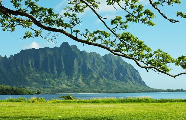 Private Green and Blue Circle Island Oahu Tour (se habla espanol)
